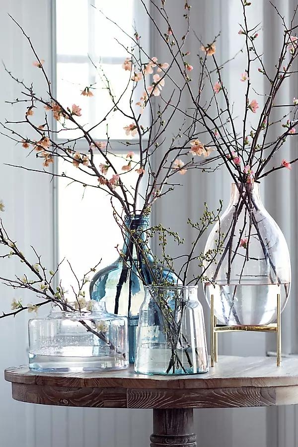 Quince Branches - Image 0