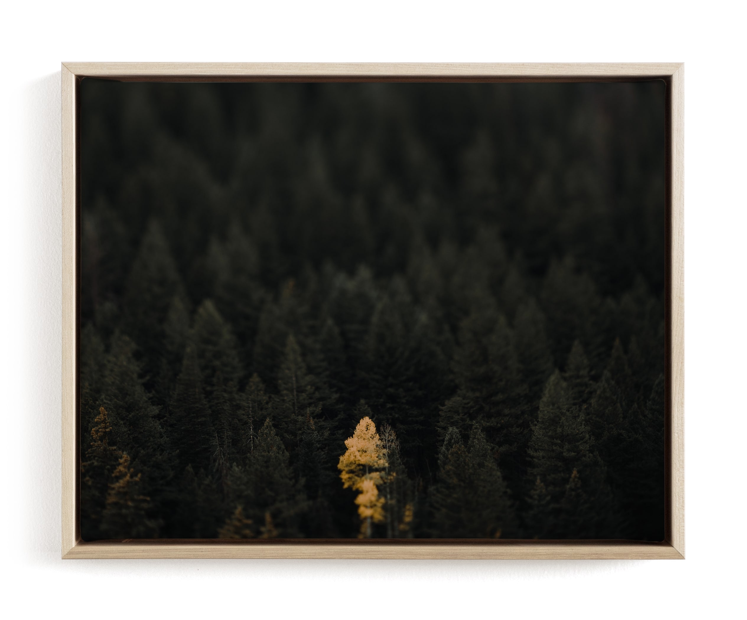 The Lone Wolf Limited Edition Fine Art Print 1 - Image 0