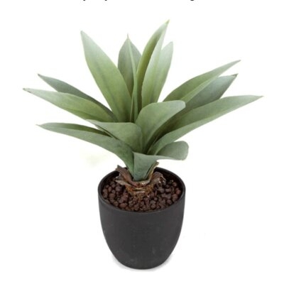 10" Potted Agave Plant - Image 0