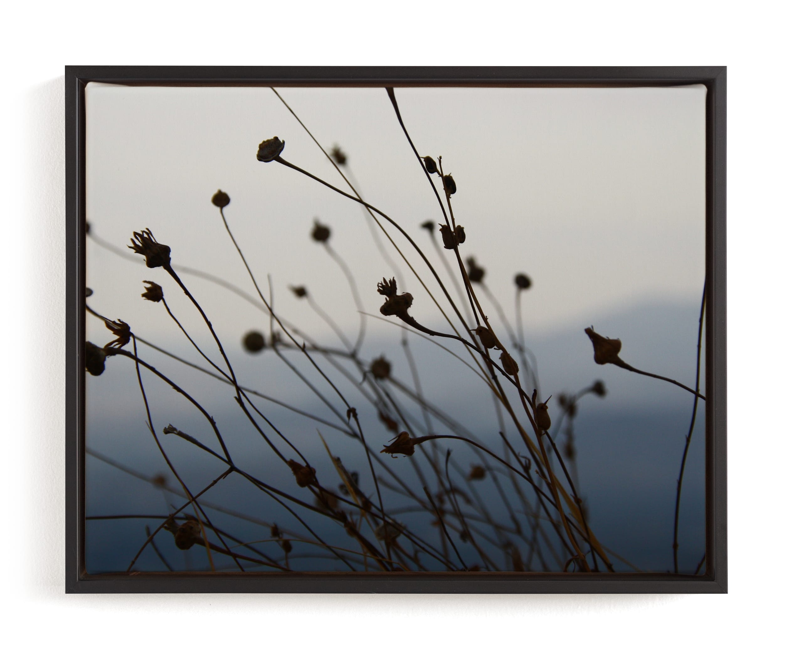 Sway Limited Edition Fine Art Print 1 - Image 0