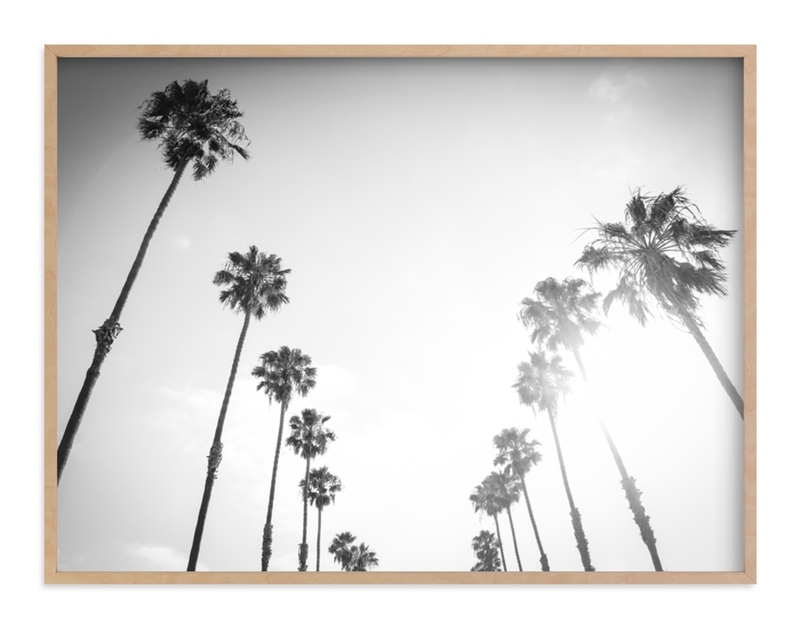 California Palms Art Print - Image 0