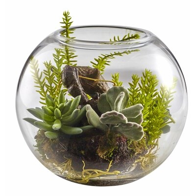 Mix Succulent Plant in Decorative Vase - Image 0