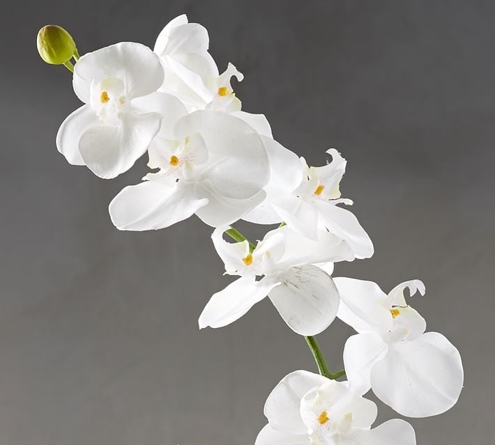 Faux Potted Orchid, 21" - Image 3