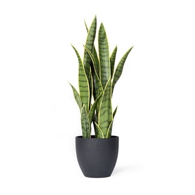 27" Artificial Snake plant Plant in Pot - Image 0