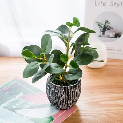 Small Potted Artificial Grass Plant For Home Kitchen Office Desk Decoration Plastic Life Like Fake Green Plants - Image 0