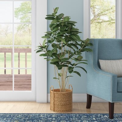 Potted Artificial Green Rubber Tree - Image 0