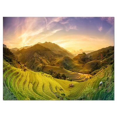 'Rice Fields on Terraced Panorama'Photograph - Image 0