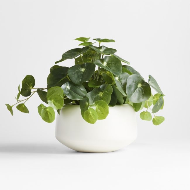 Potted Faux Pilea Plant in White Pot - Image 0