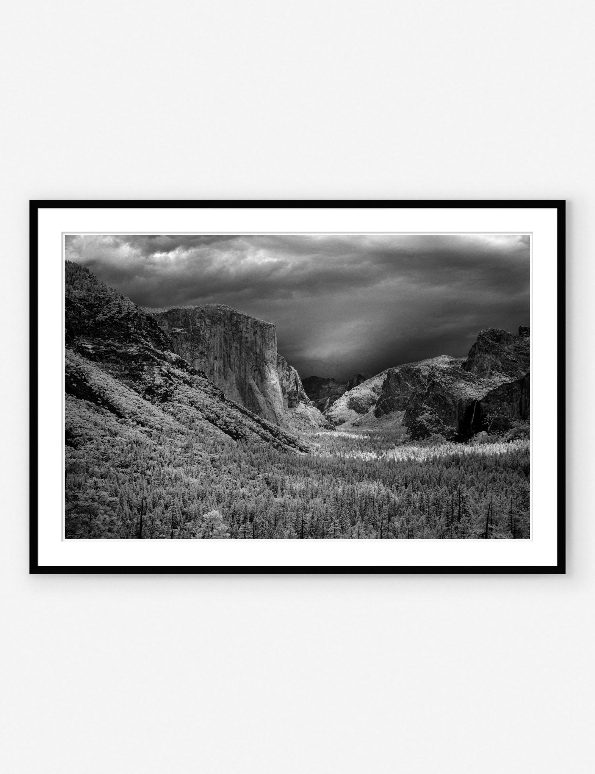 'Yosemite National Park' Photography Print - Image 0