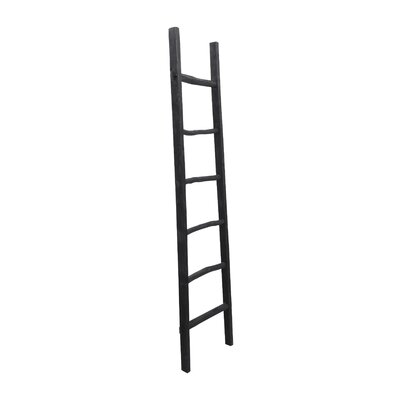 Decorative Tall Leaning Wood Blanket Ladder, For Living Room, Bedroom, Bathroom Decor, 19 L x 2 W x 76 H Inches - Image 0