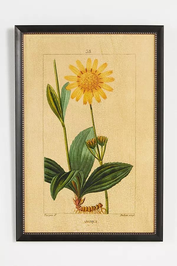 Crackled Flower Wall Art - Image 0