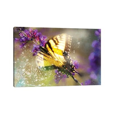 Butterfly VI by Kevin Clifford - Wrapped Canvas Gallery-Wrapped Canvas Giclée - Image 0