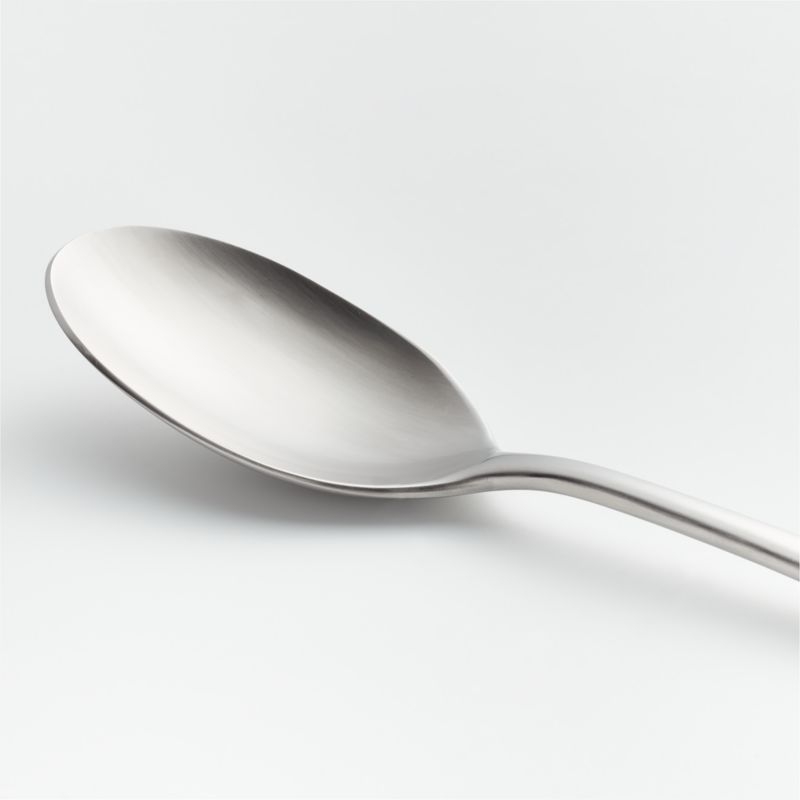 Caesna Satin Serving Spoon - Image 1