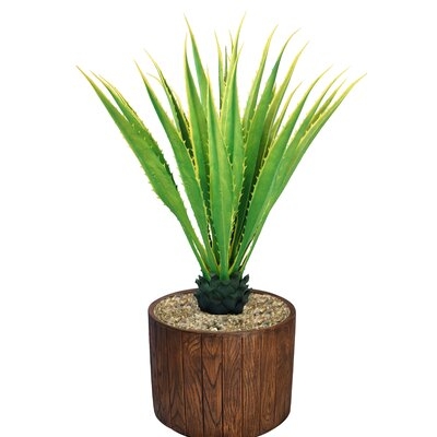 Real Touch Agave Plant in Planter - Image 0