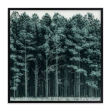 Through the Trees, Black Wood Frame, 30"x30" - Image 0