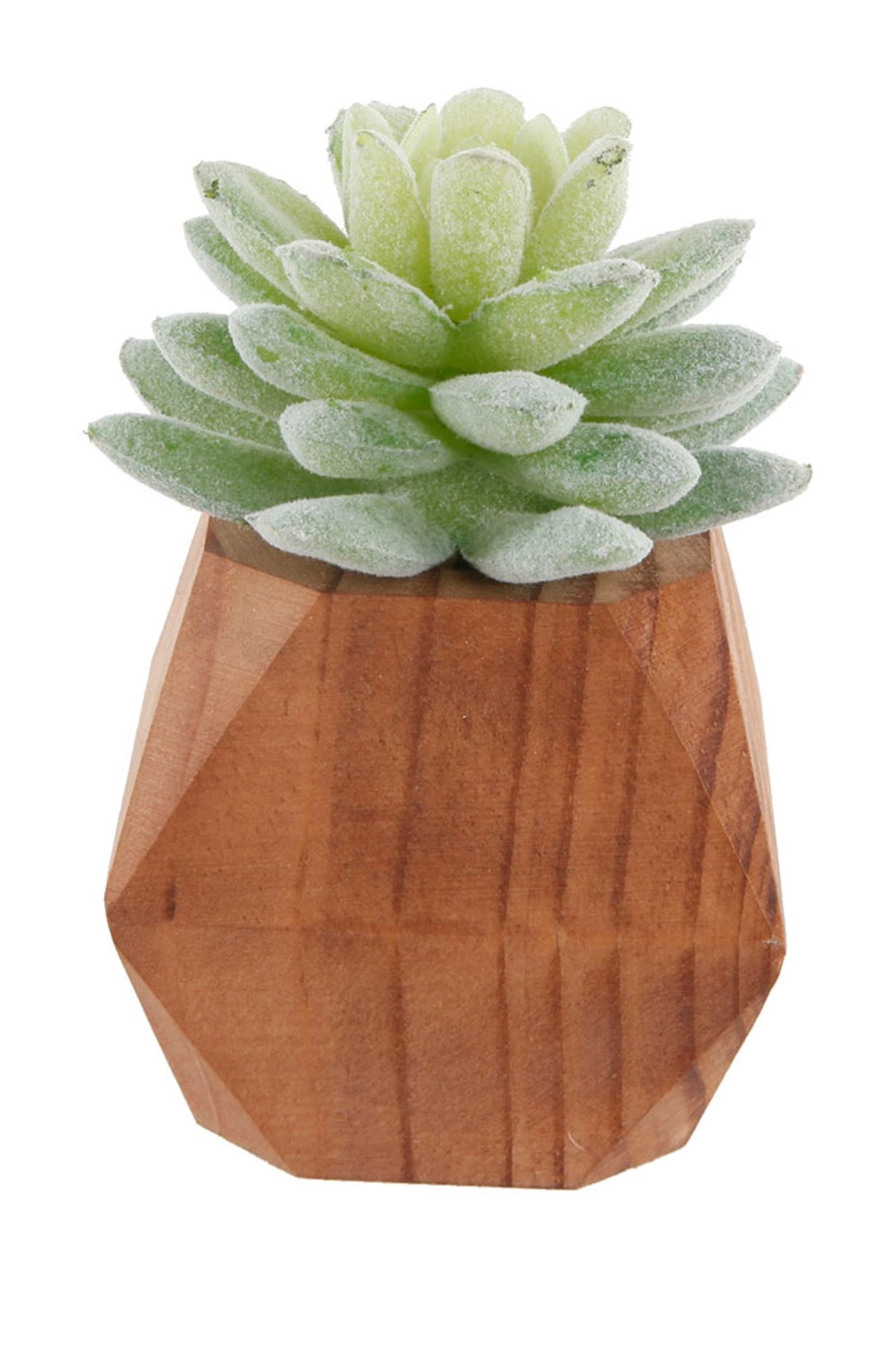Faux Succulent in Wood Pot, 4.5", Set of 2 - Image 3