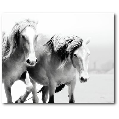 'Horse' Wrapped Canvas Photograph Print - Image 0