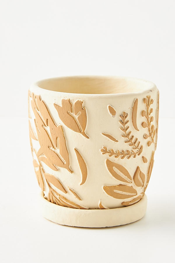 Gladia Planter By Anthropologie in Beige - Image 0