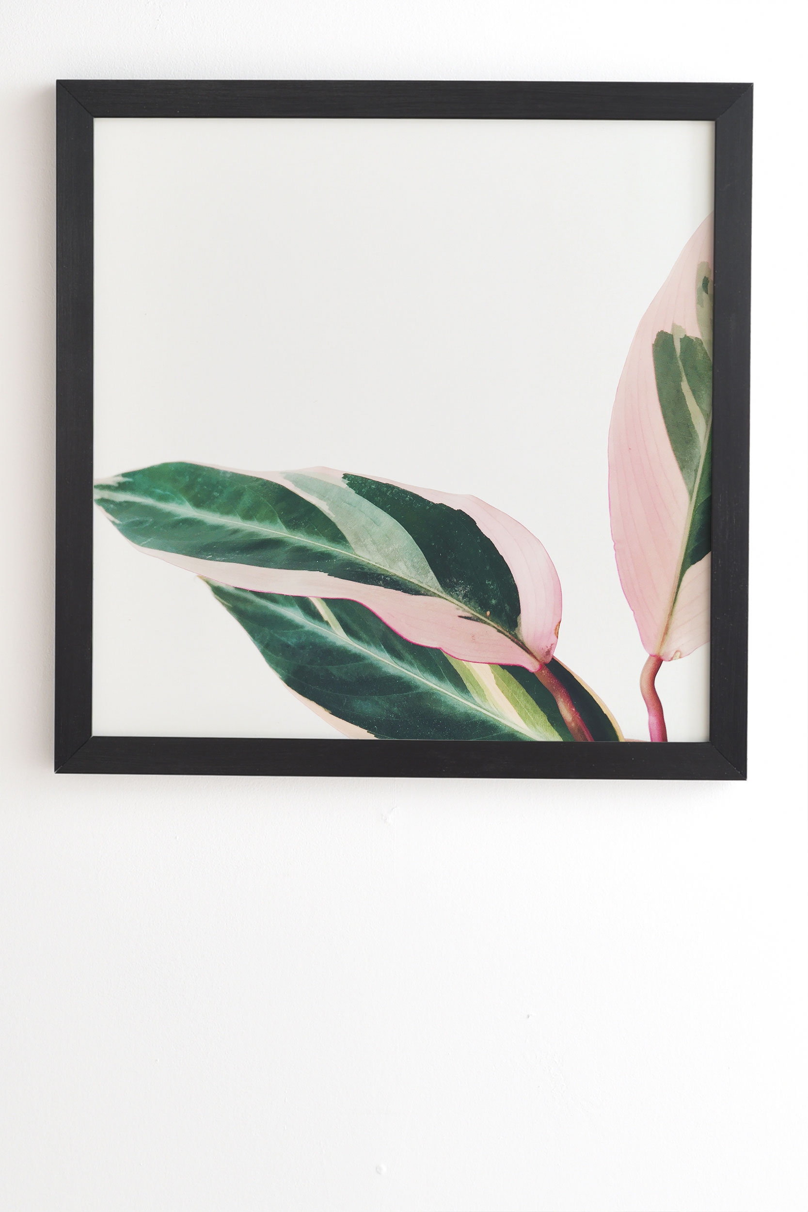 Pink Leaves Ii by Cassia Beck - Framed Wall Art Basic Black 20" x 20" - Image 1