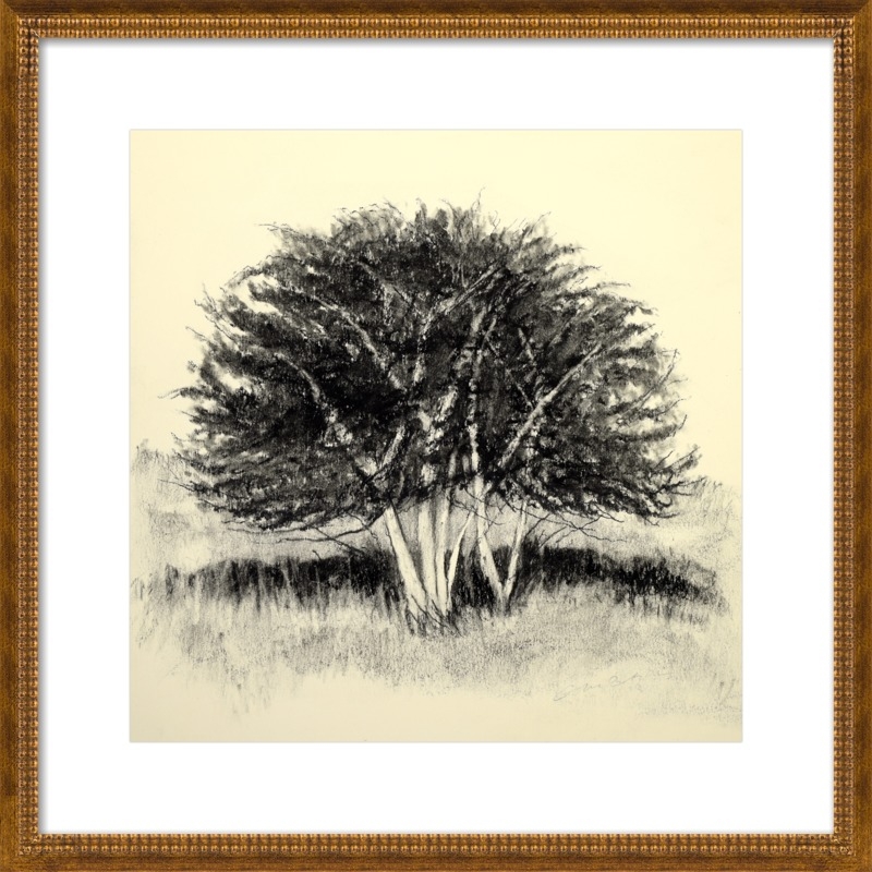 Old Apple Tree by Rich Gombar for Artfully Walls - Image 0