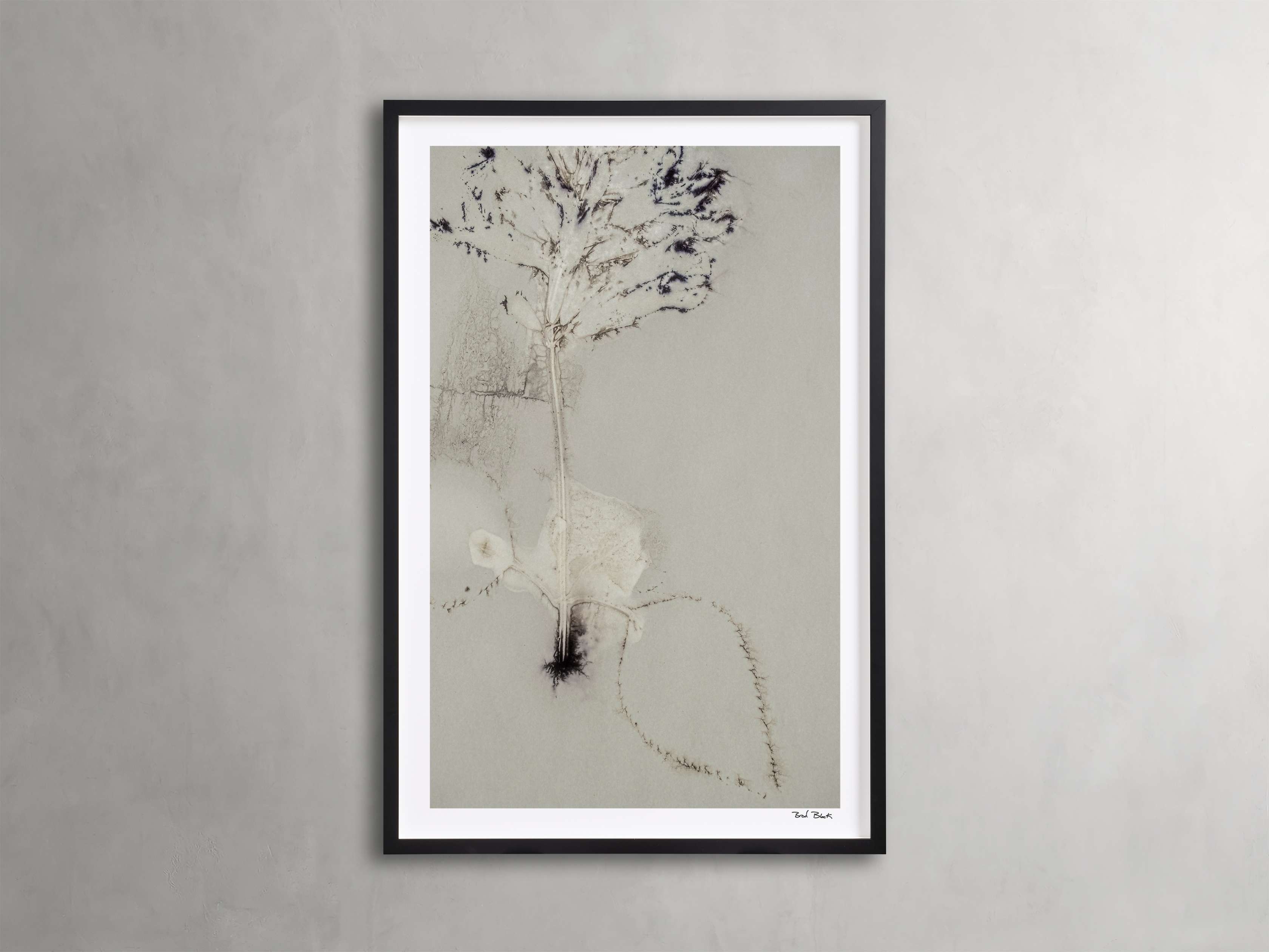 Sense Of Salvia Framed Print in Wood 30" X 45" Natural  Iii  - Image 0