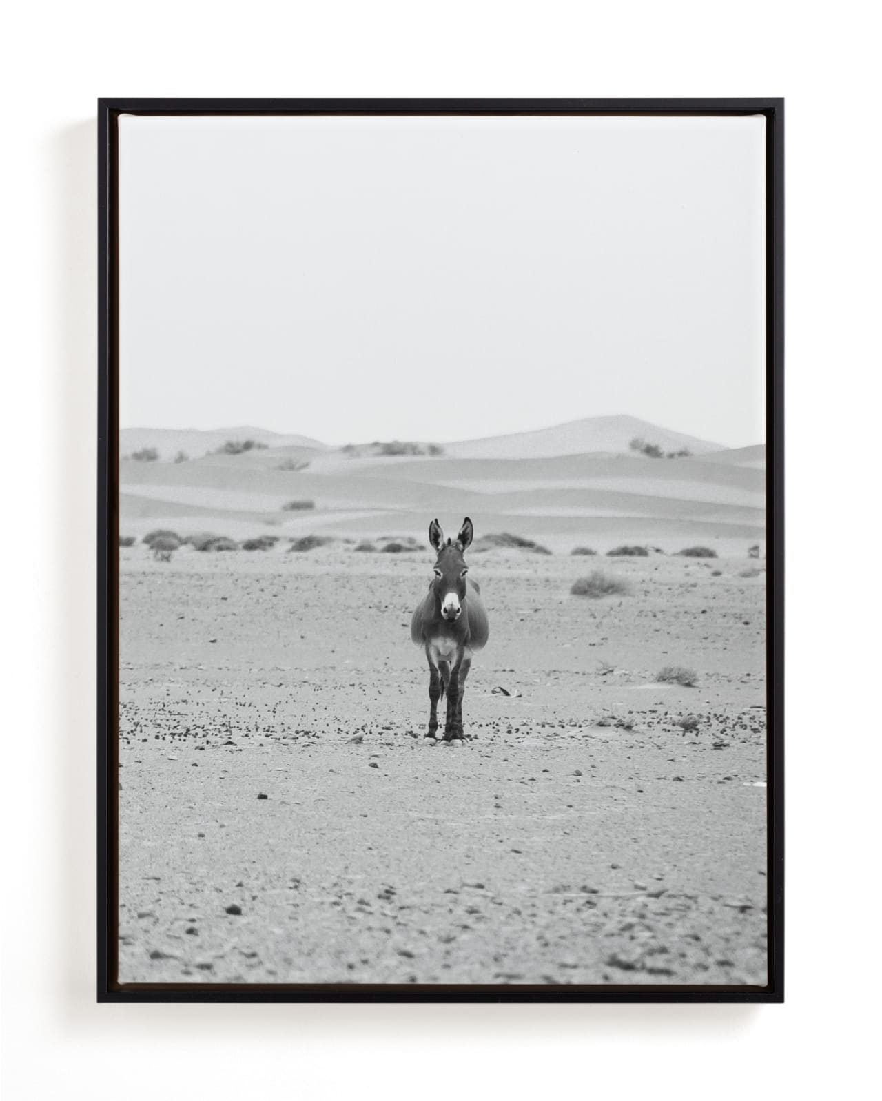 I'm Watching You Limited Edition Fine Art Print 1 - Image 0