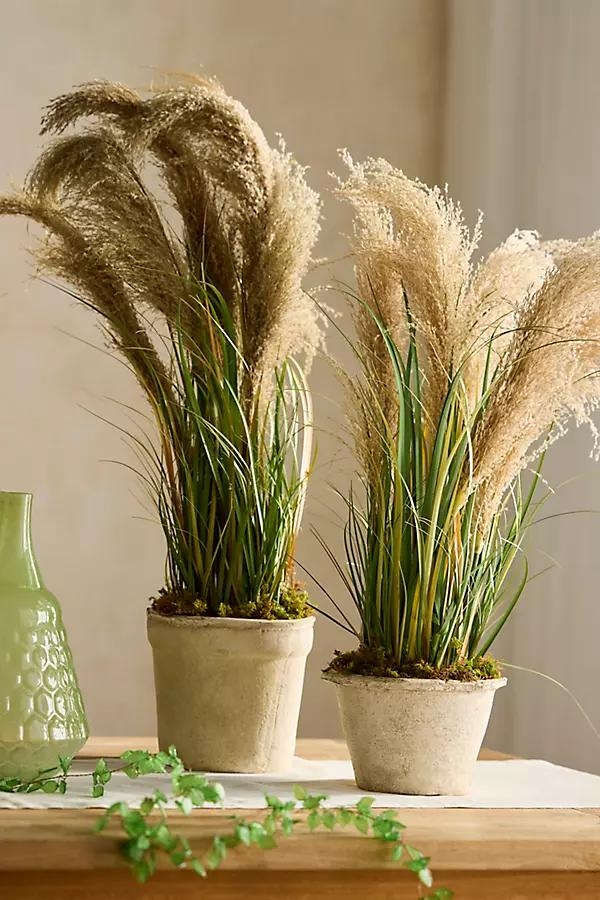 Faux Grass Plant - Image 0