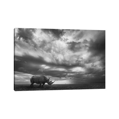Rhino Land by Mario Moreno - Wrapped Canvas Photograph Print - Image 0