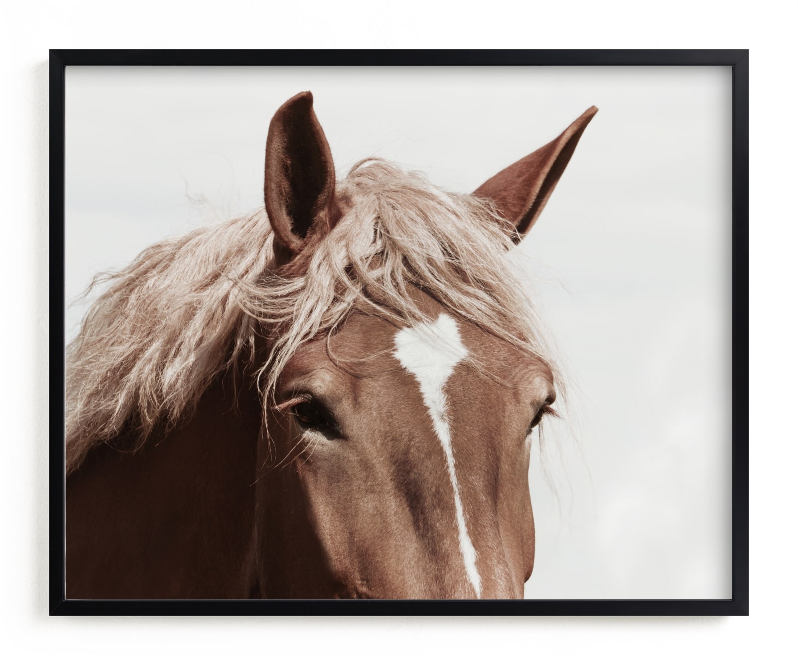 Belgian Beauty Limited Edition Fine Art Print 2 - Image 0