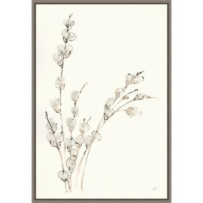 Canvas Art Framed 'Pussy Willows V' By Chris Paschke: Outer Size 16 X 23" - Image 0