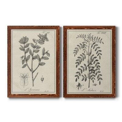Antique Black & White Botanical VIII-Premium Framed Canvas - Ready To Hang - Image 0