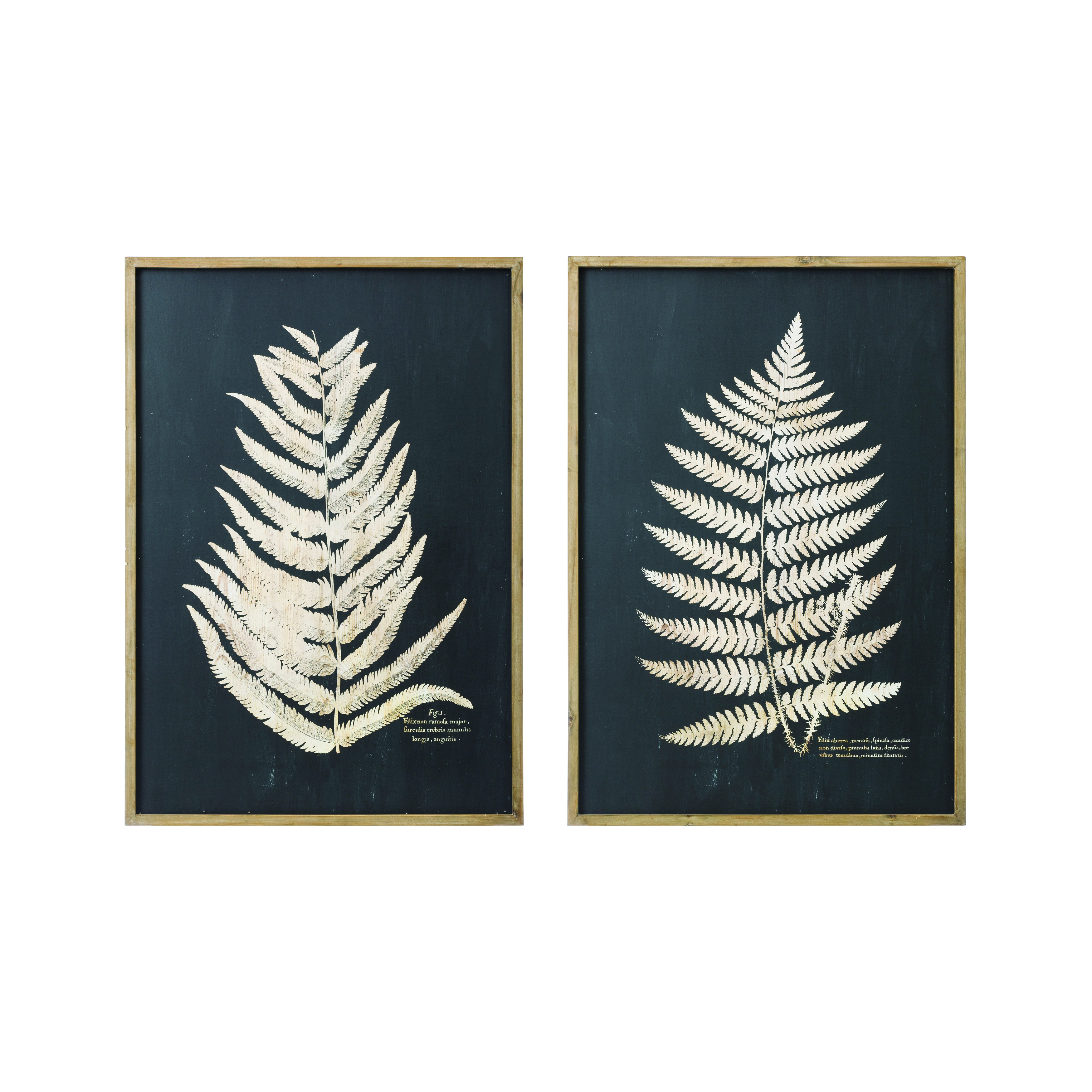 Wood Framed Wall Décor with Fern Leaf (Set of 2 Styles) - Image 0