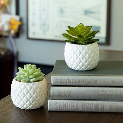 2 Piece Pineapple Succulent Desktop Plant in Pot - Image 0