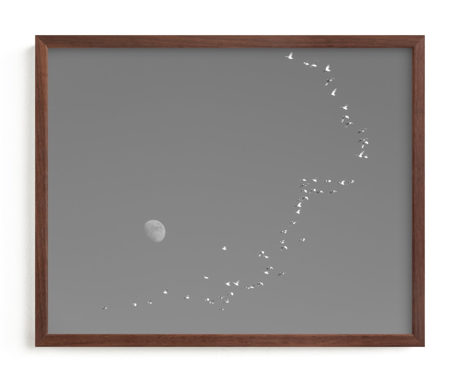 Flight And Hike I Open Edition Fine Art Print - Image 0