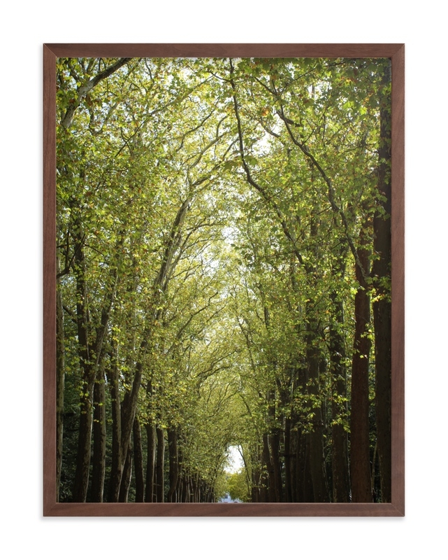 Canopy Of Trees Limited Edition Fine Art Print 1 - Image 0
