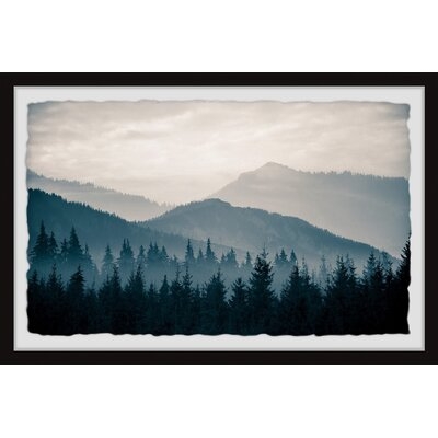 'Forest Morning View' - Picture Frame Photograph Print on Paper - Image 0