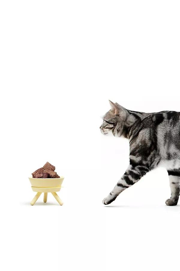 Oreo Pet Standing Bowl - Image 0
