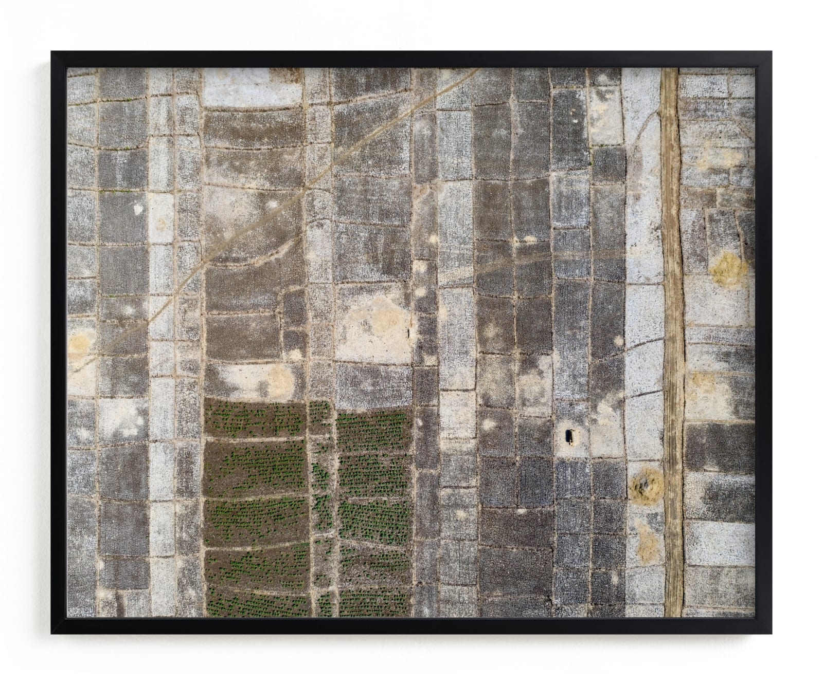 Transition Limited Edition Fine Art Print 2 - Image 0