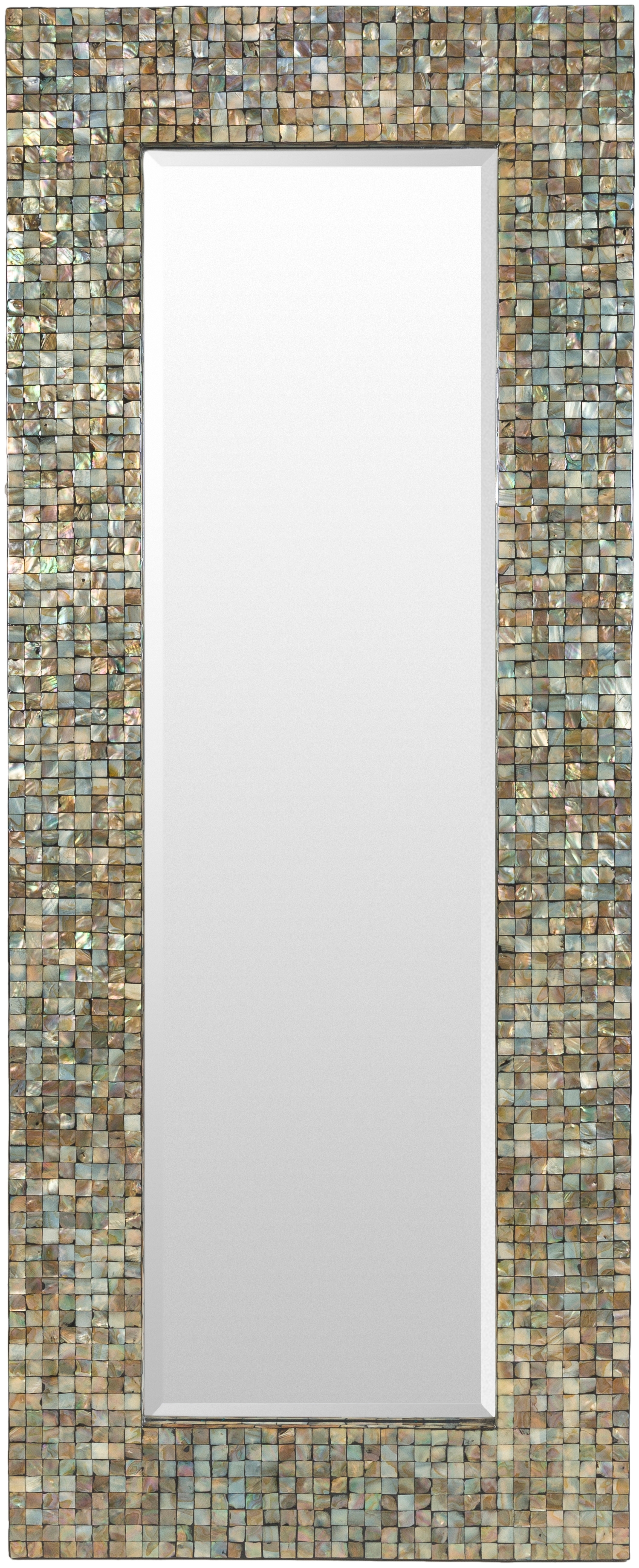 Iridescent Brown 59"H x 24"W x 1"D Full Length Mirror - Image 0