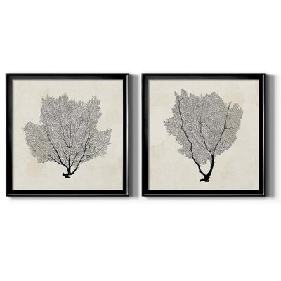 Sea Fan Sketch I-Premium Gallery Wrapped Print - Ready To Hang - Image 0