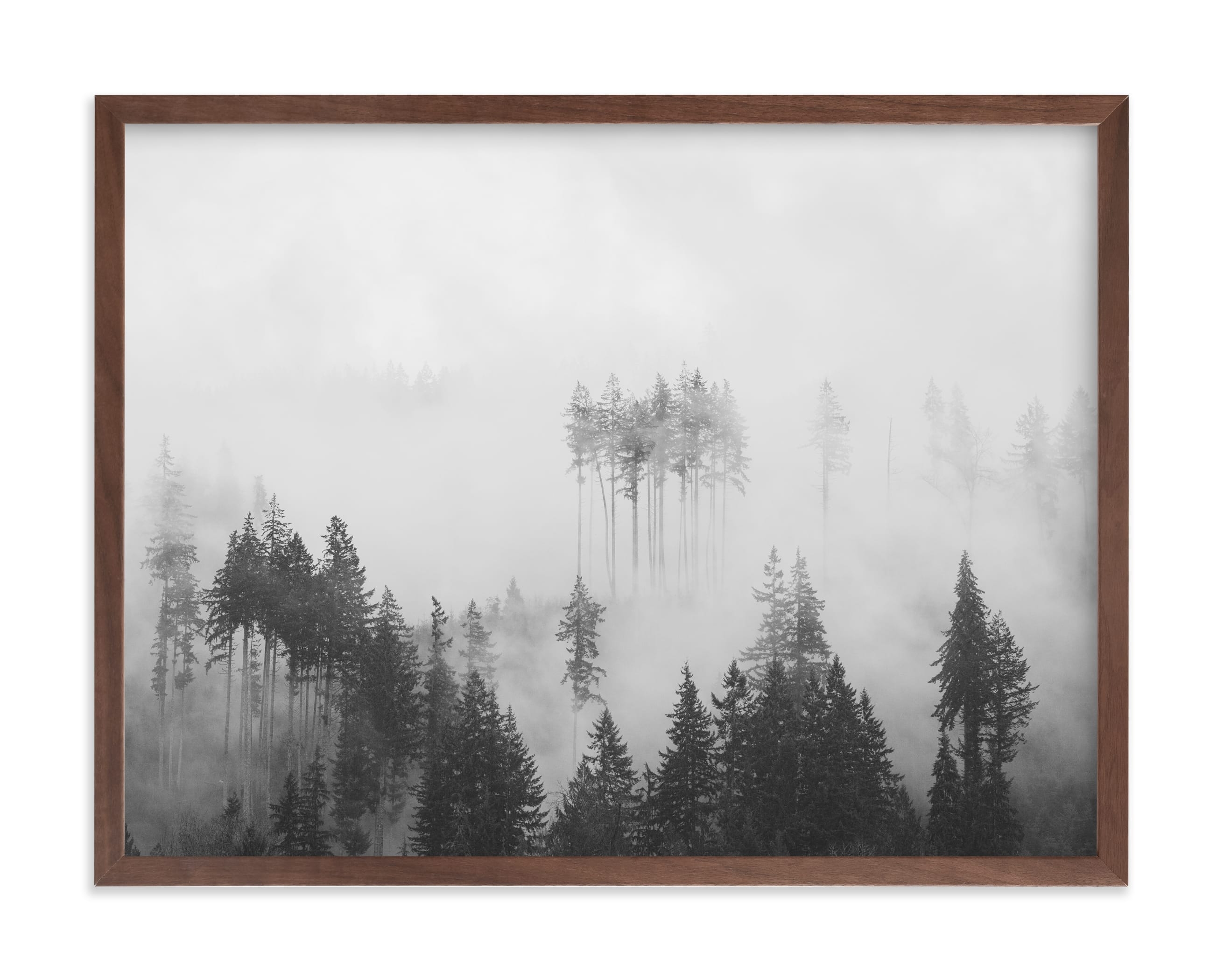 Morning Fog Limited Edition Fine Art Print 1 - Image 0