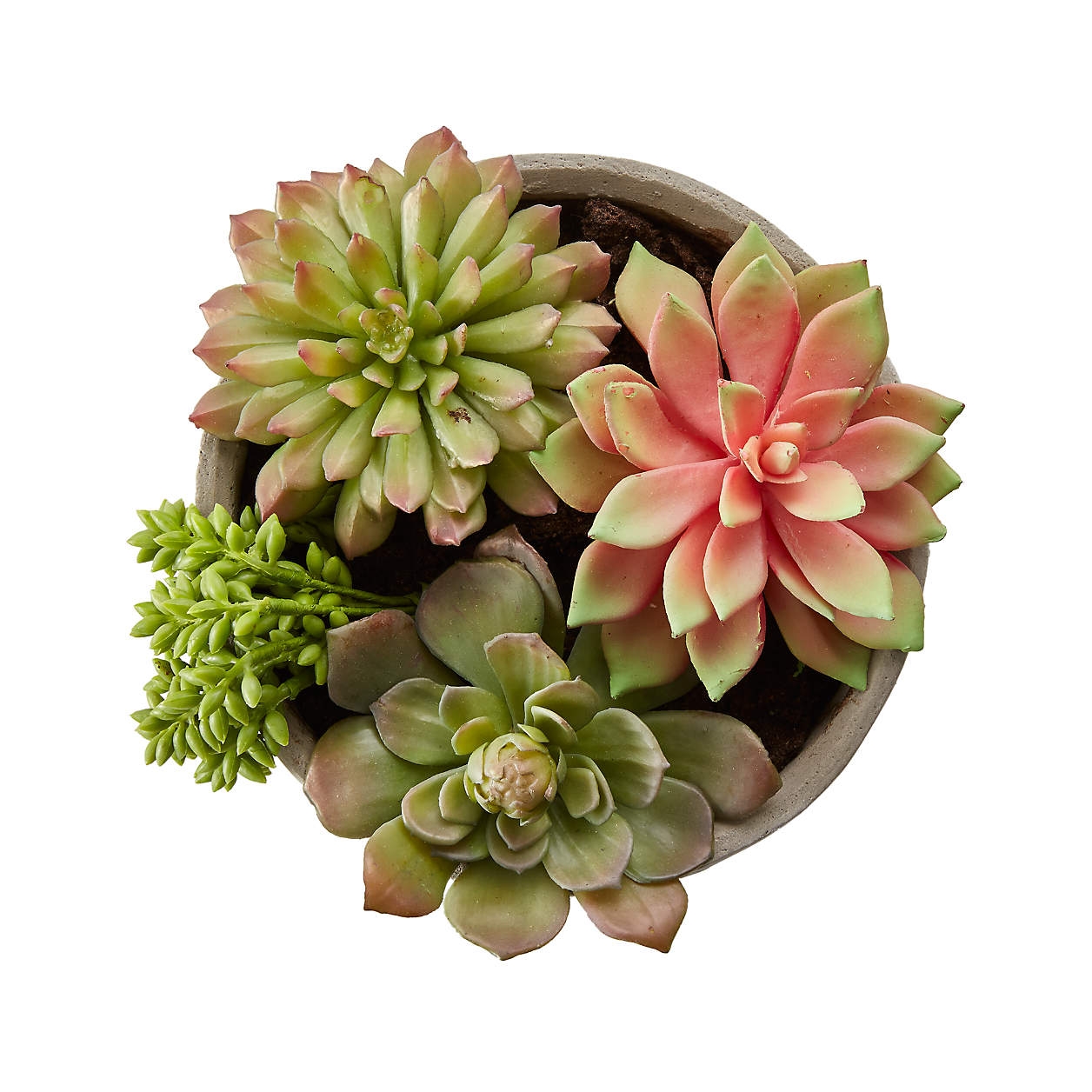 Faux Succulents in Low Round Pot, Restock in mid august 2023. - Image 3