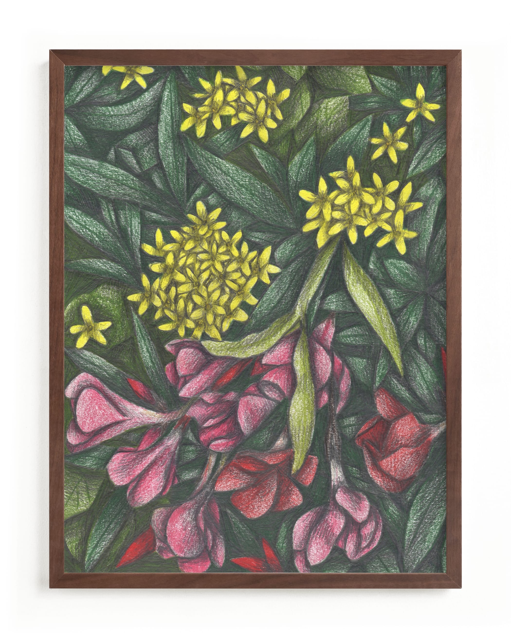 Mediterranean Bush Limited Edition Fine Art Print 2 - Image 0