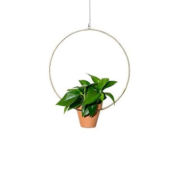 Newmade LA Circle Hanging Planter Brass - Image 0