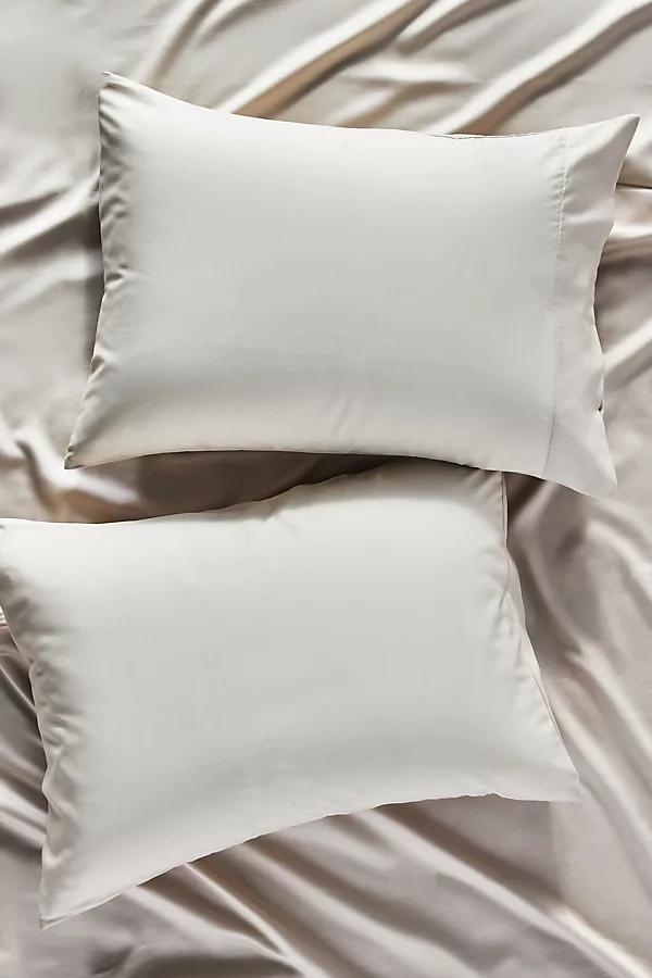 Sijo AiryWeight Eucalyptus Shams, Set of 2 - Image 0