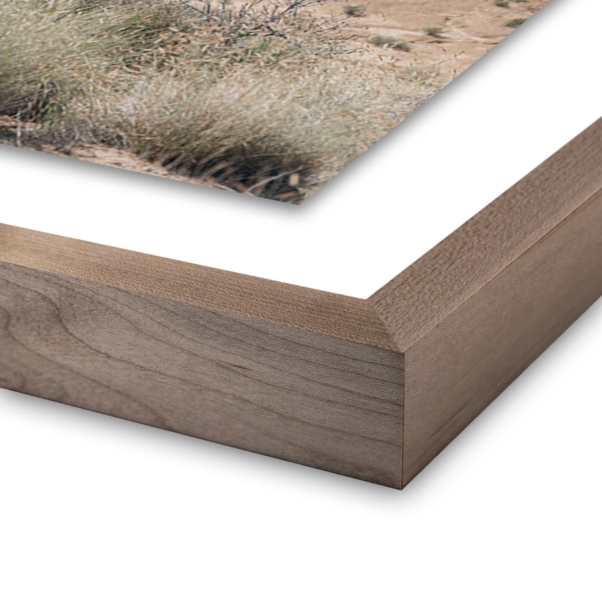 Ocotillo by Mandy Steinback - Rustic 1.5 Walnut - Image 2