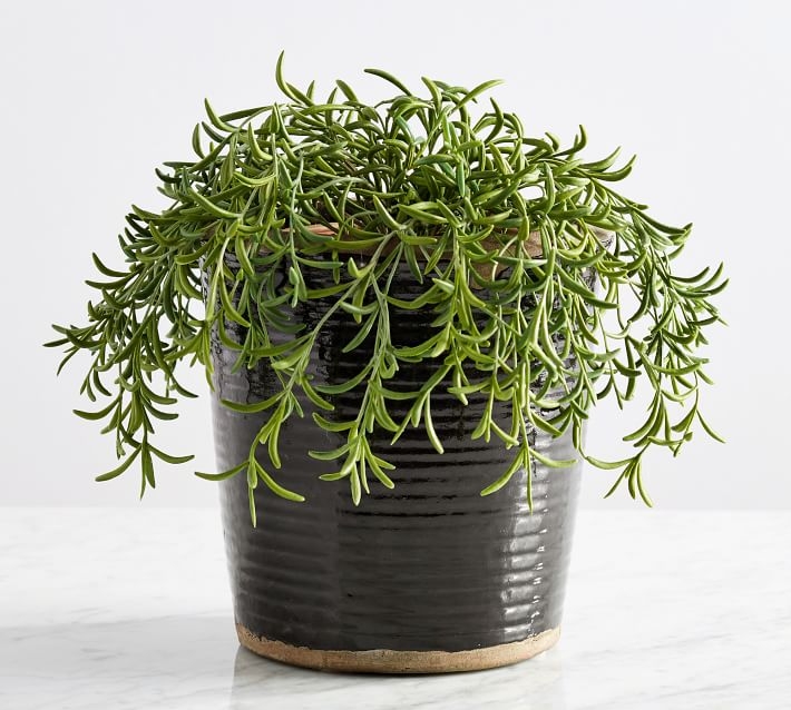 Faux Potted String of Fishhooks Plant, Medium - Image 2