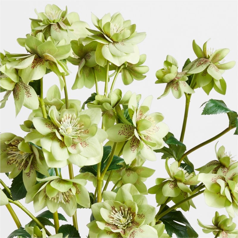 Faux Green Rose Spray 36" by Abigail Ahern - Image 1
