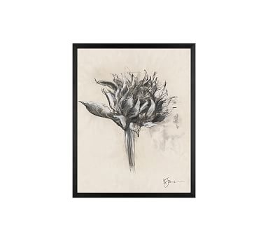 Charcoal Sunflower Sketch, Single Bloom, 16" x 20" Wood Gallery, Black, No Mat - Image 0