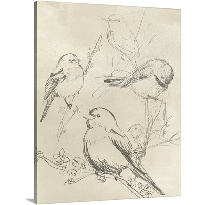 Vintage Songbird Sketch II Canvas Wall Art - Image 0